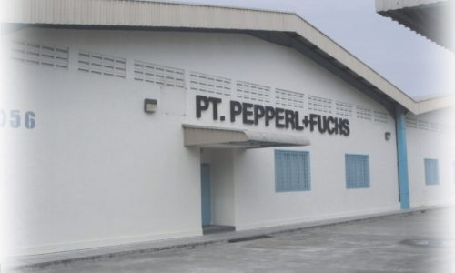 PEPPER8